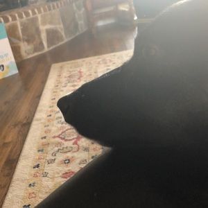 Meet your Posher, Adam